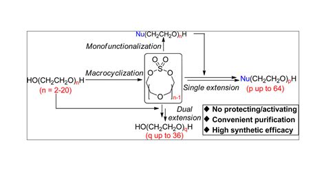 lv xing zheng|Macrocyclic Sulfates as Versatile Building Blocks in the Synthesis .